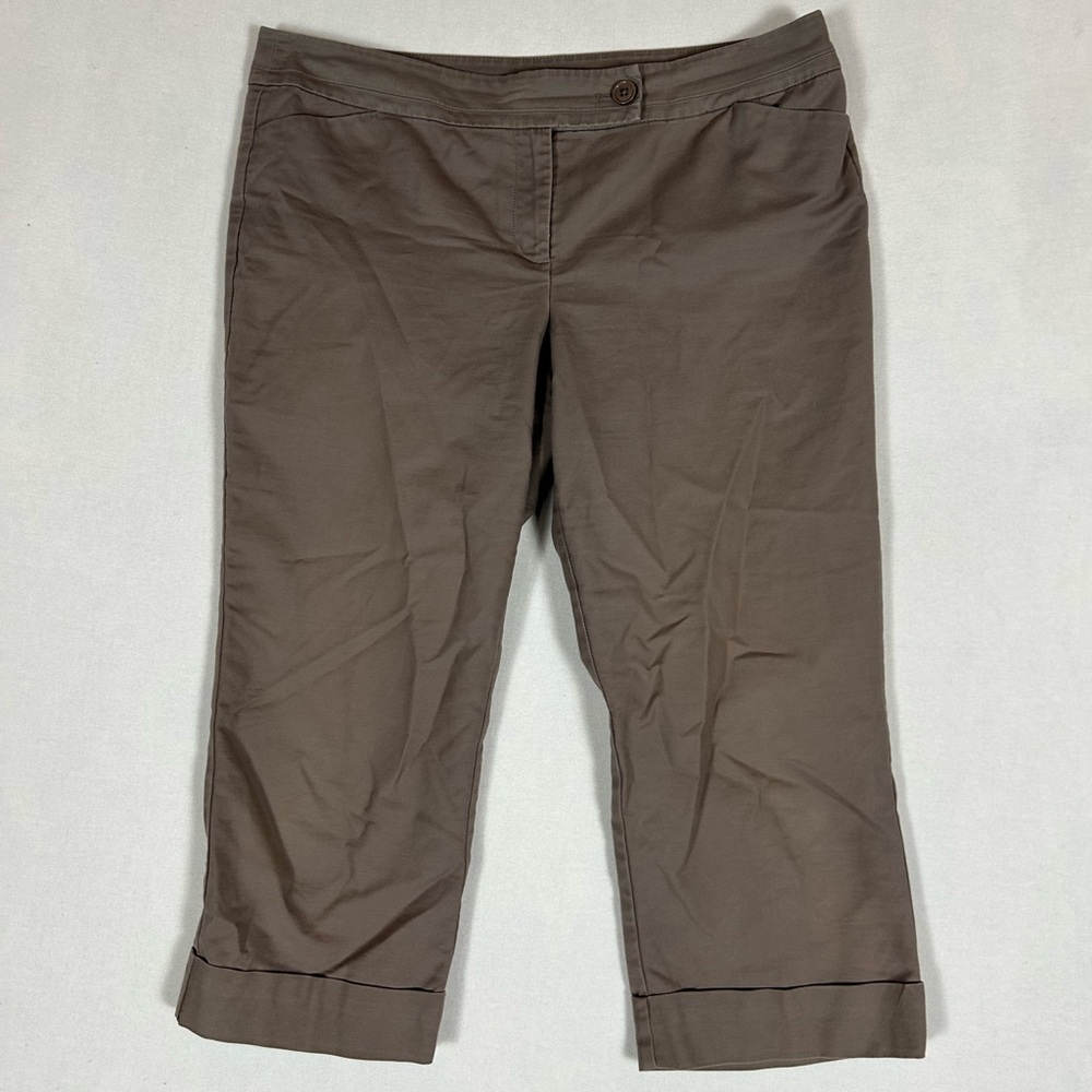 Ann Taylor Signature Crop Pants Women’s 14 Gray Flat Front Pockets Rolled Hem